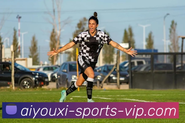 爱游戏平台生态图