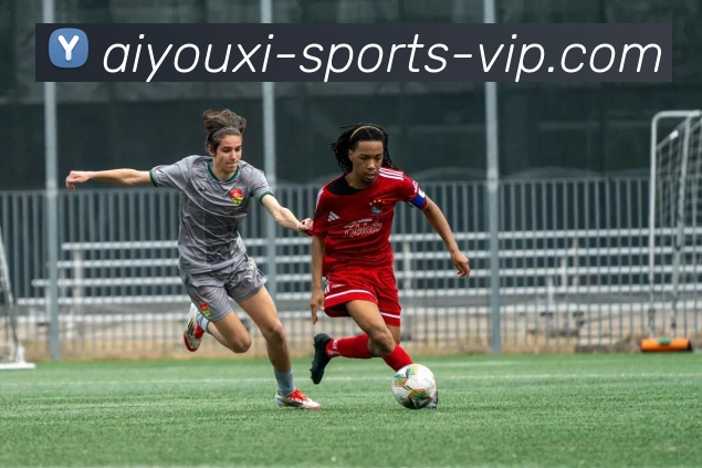 爱游戏APP 封面图